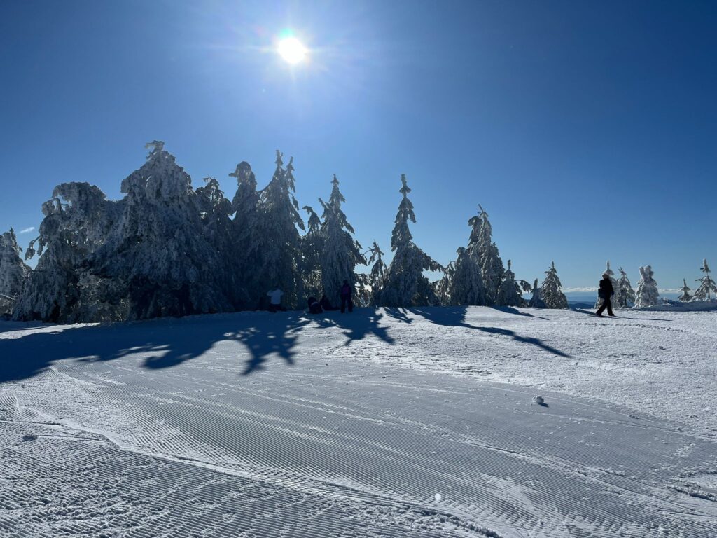 Sila neve 3 - Sila, cresce il turismo consapevole e l'offerta di qualità - 57 Sila neve 3 - Meraviglie di Calabria - 56