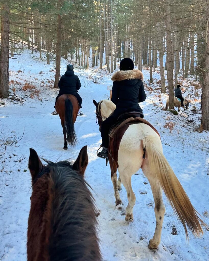 Sila neve cavalli - Sila, cresce il turismo consapevole e l'offerta di qualità - 11 Sila neve cavalli - Meraviglie di Calabria - 10