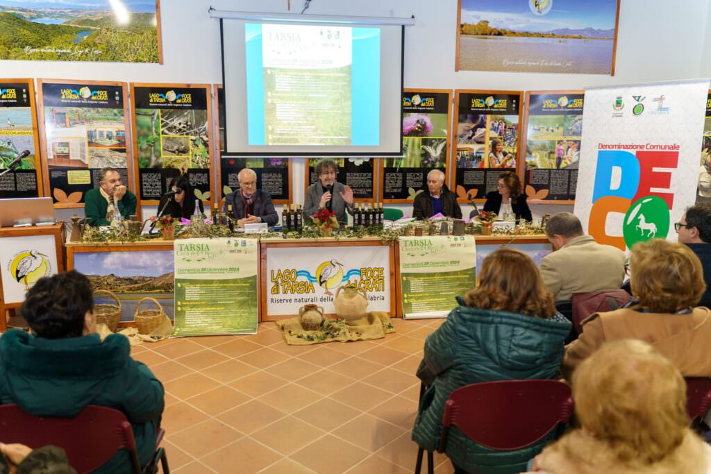 TARSIA FESTA DELLOLIO 1 - Tarsia, presentata l'etichetta DeCo roggianella per l'olio EVO - 9 TARSIA FESTA DELLOLIO 1 - Meraviglie di Calabria - 8