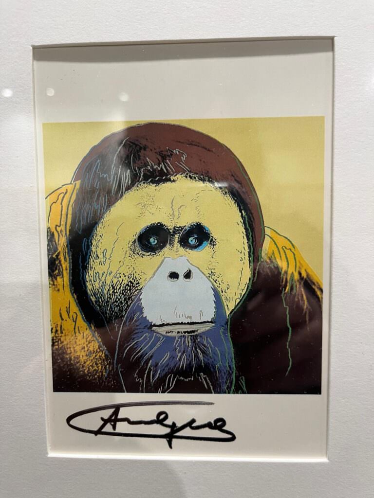 andy warhol museo del presente 33 - Pop Art Revolution, a Rende il volo spericolato e geniale di Andy Warhol - 39 andy warhol museo del presente 33 - Meraviglie di Calabria - 38