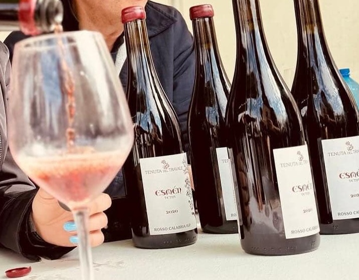 tenuta del travale 2 - Vignaioli Indipendenti, nuova guida per la Delegazione Calabria - 5 tenuta del travale 2 - Meraviglie di Calabria - 4