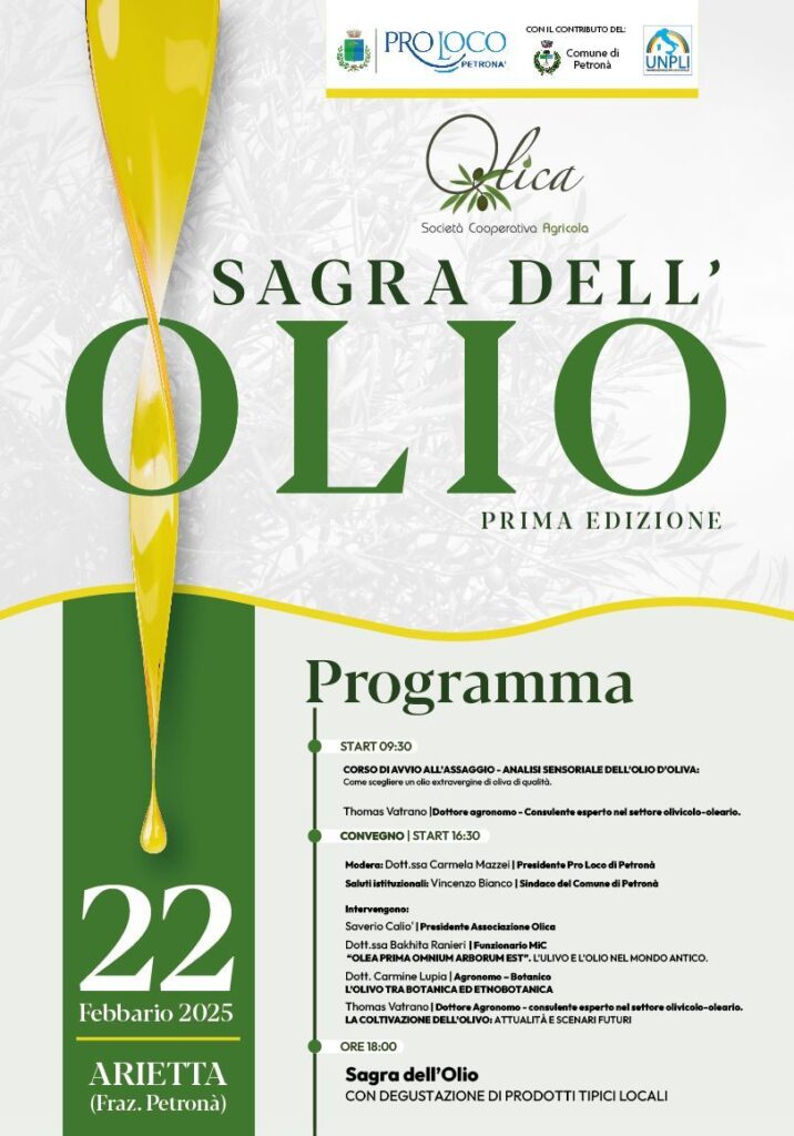locandina sagra dellolio - Identità agricola, oggi a Petronà la prima Sagra dell'Olio - 3 locandina sagra dellolio - Meraviglie di Calabria - 2