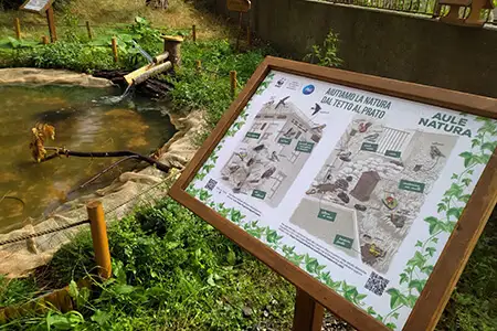Aula Natura WWF e P G Italia 2 - Scuole nel verde, a Roccella Ionica l'Aula Natura di WWF e P&G Italia - 11 Aula Natura WWF e P G Italia 2 - Meraviglie di Calabria - 10