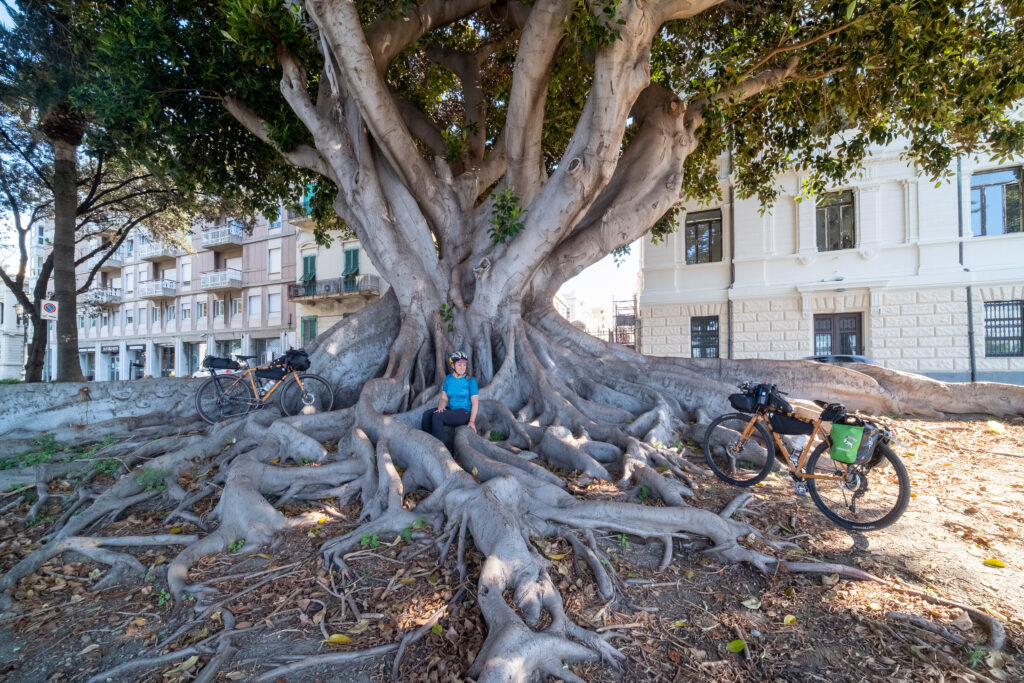 Ciclovia dei parchi Reggio - Fiera Cicloturismo, la Ciclovia dei Parchi simbolo della mobilità dolce - 9 Ciclovia dei parchi Reggio - Meraviglie di Calabria - 8