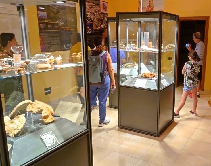 Museo Paludi 3 - Viaggio nei tesori archeologici di Paludi, ritorna 'Paludinsieme' - 9 Museo Paludi 3 - Meraviglie di Calabria - 8