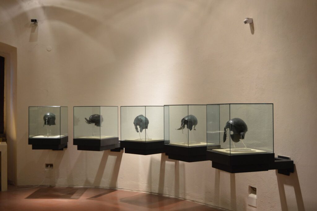 Museo archeologico Vibo Valentia Armature 22 - Vibo Valentia, la rara bellezza del Museo Archeologico Vito Capialbi - 23 Museo archeologico Vibo Valentia Armature 22 - Meraviglie di Calabria - 22