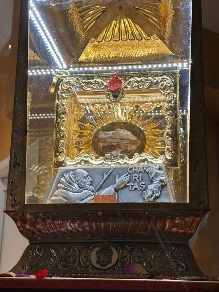 Reliquia San Francesco di Paola a Rende 7 - La reliquia di San Francesco da Paola è a Rende, oggi messa solenne - 9 Reliquia San Francesco di Paola a Rende 7 - Meraviglie di Calabria - 8