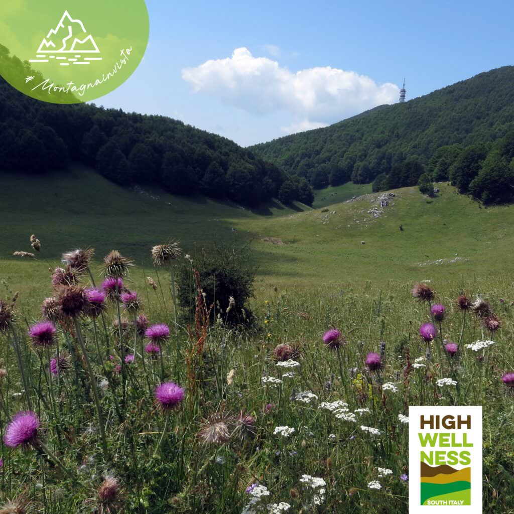 Sila High Wellness South Italy - Weekend con High Wellness South Italy alla scoperta dei piatti silani - 5 Sila High Wellness South Italy - Meraviglie di Calabria - 4