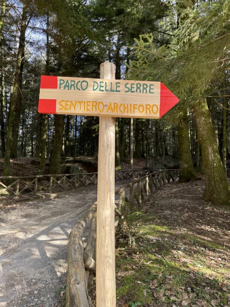 bosco archiforo parco delle serre - Meraviglie di Calabria - 10