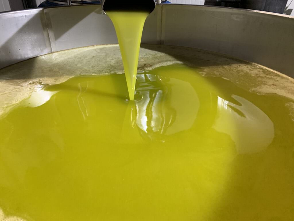 olio - Sol and the City Sud, a Catanzaro due giorni dedicati all’extravergine - 7 olio - Meraviglie di Calabria - 6