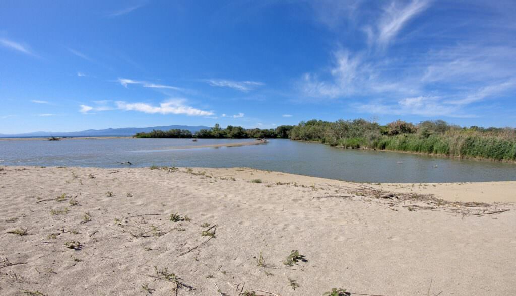 Mare foce Crati Sibari 1 - Meraviglie di Calabria - 18