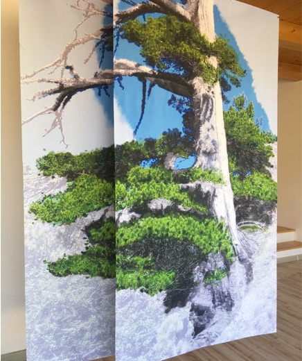 Mery Rigo Italus 2 1 - High Wellness South Italy, in Sila l’arte ambientale di Mery Rigo - 7 Mery Rigo Italus 2 1 - Meraviglie di Calabria - 6