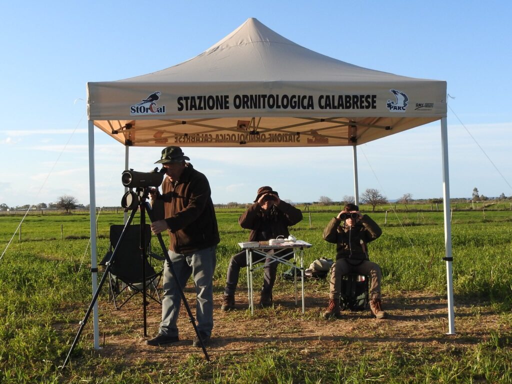 Stazione ornitologica calabrese 4 - Meraviglie di Calabria - 4