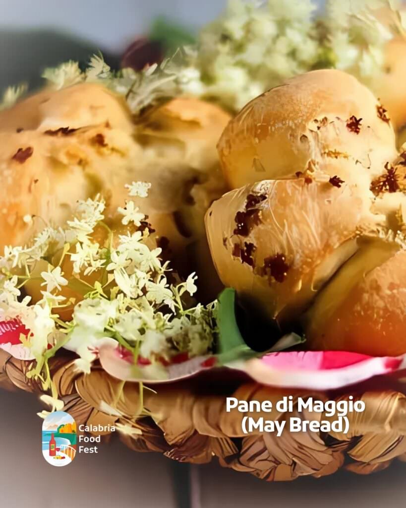 47 - Calabria, successo per la settimana del Food Fest - 5 47 - Meraviglie di Calabria - 4