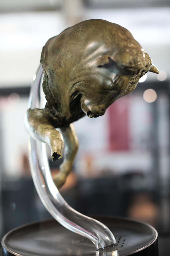 Museo Sibaritide Toro Cozzante - Meraviglie di Calabria - 63