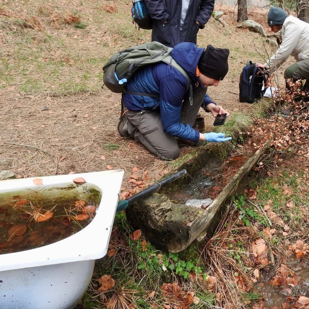 SilaBioMetric Foto Cursa 4 1 - Parco Nazionale della Sila, l’IA per tutelare la biodiversità forestale - 3 SilaBioMetric Foto Cursa 4 1 - Meraviglie di Calabria - 2
