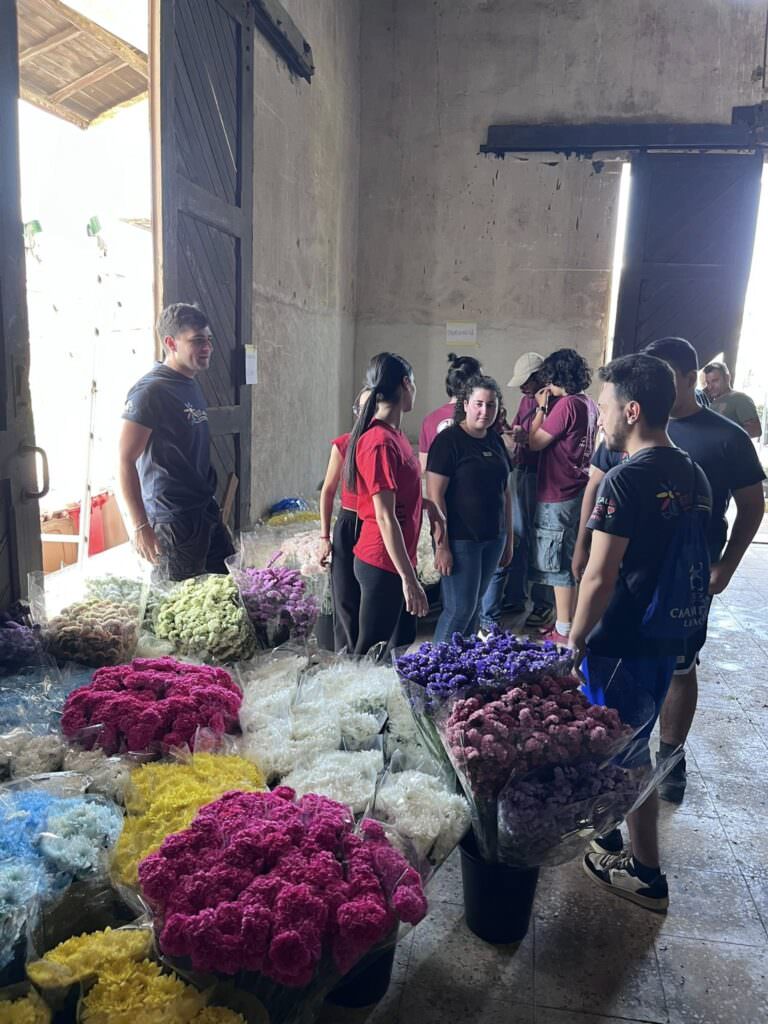 infiorata taurianova 2025 foto fb Valentina Mammana direttrice Foto CultuArte Noto 13 - Meraviglie di Calabria - 15
