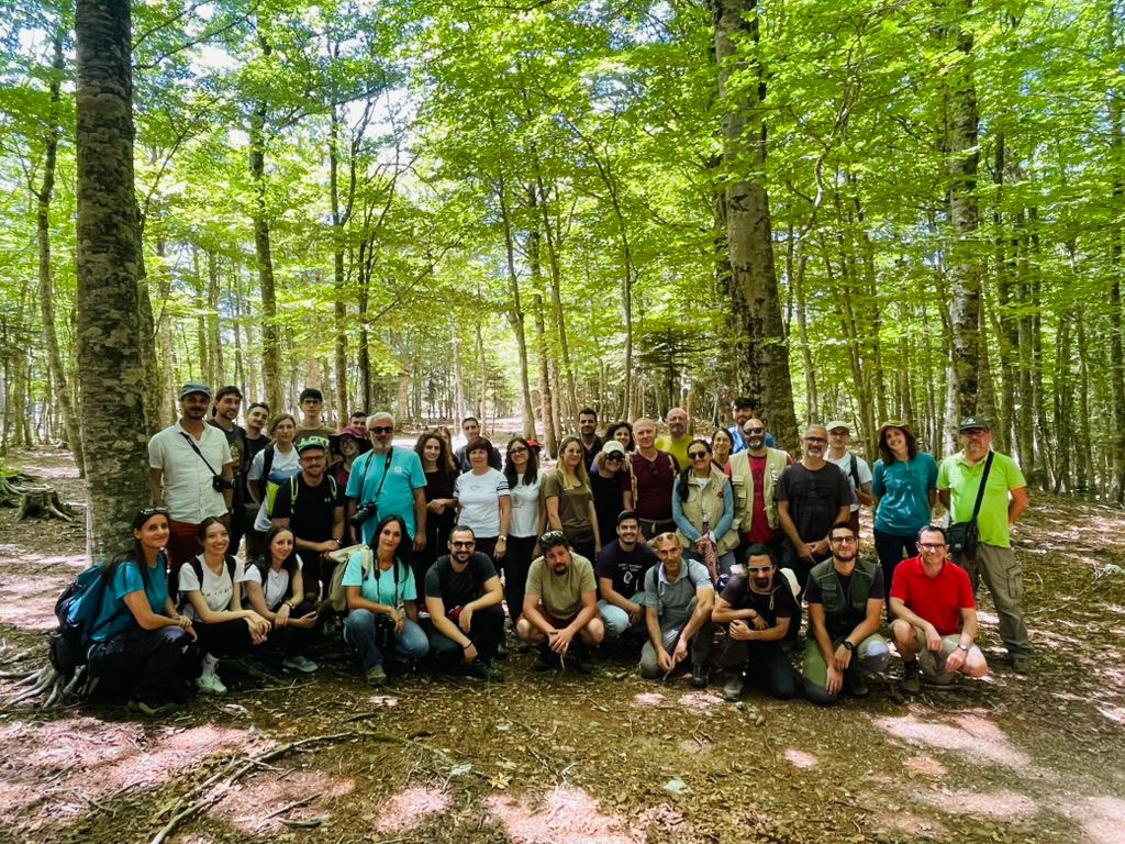 Escursione Entomologica Parco Aspromonte 2 - Meraviglie di Calabria - 41