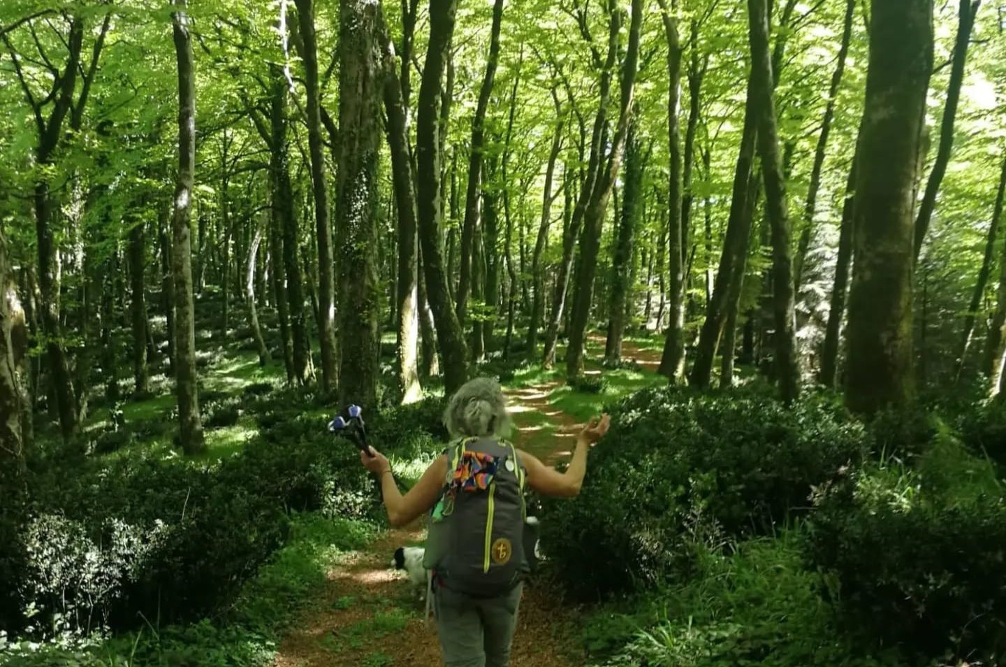 A passo lento nella natura calabrese, a Monterosso i giorni di Kalip� �  Meraviglie di Calabria