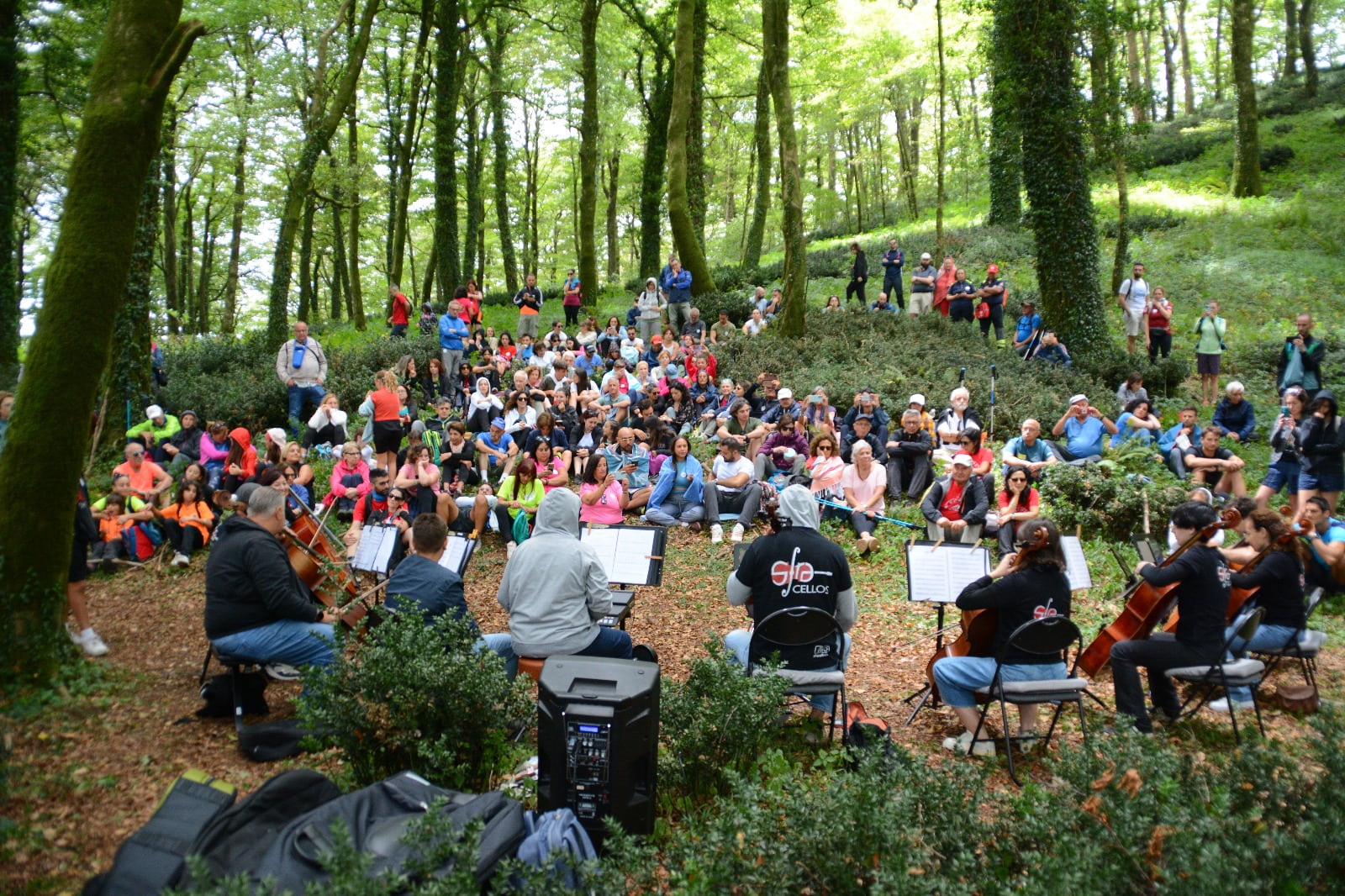Kalipe Trekking Sfracellos in concerto nella faggeta - Meraviglie di Calabria - 9