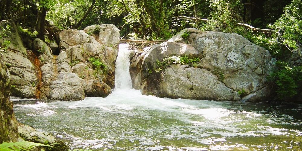 “Di là dal fiume e tra gli alberi”, la Presila catanzarese protagonista sulla Rai