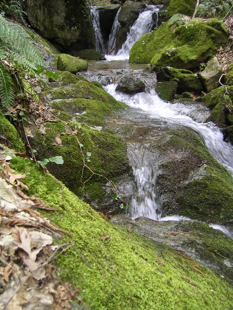 Valli cupe 2 - Meraviglie di Calabria - 4