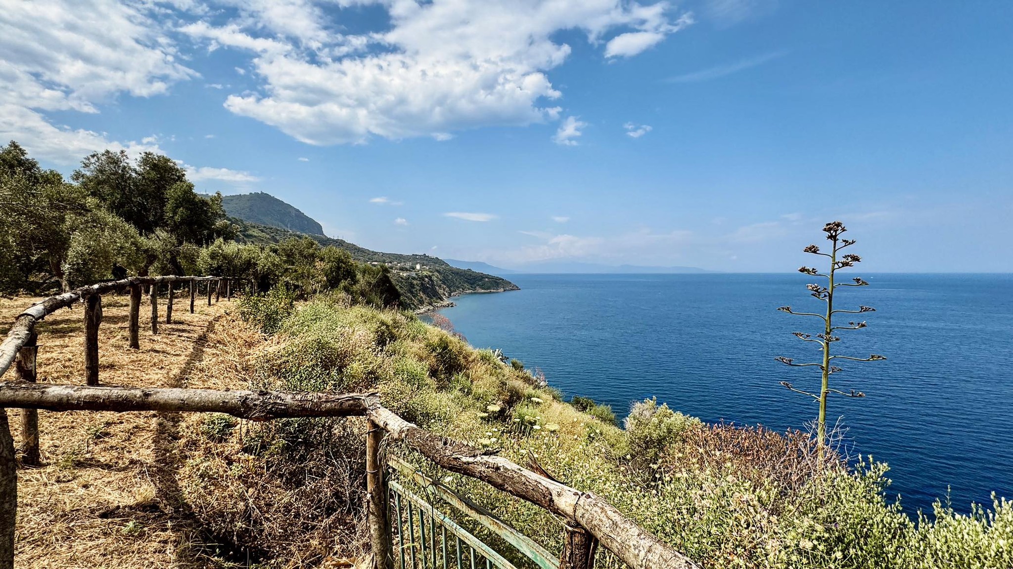 Villa Repaci vista - Meraviglie di Calabria - 35