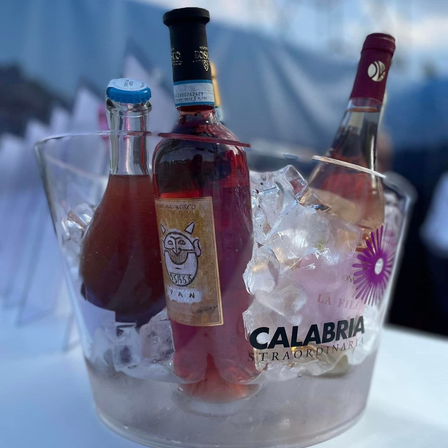 Vinitaly and the city 2024 2 - Meraviglie di Calabria - 43