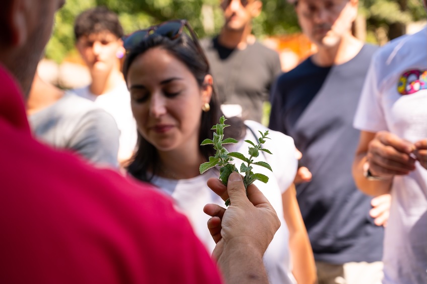 pcc spiegazione - Tutto su botanica e miscelazione, torna Pollino Cocktail Camp - 15 pcc spiegazione - Meraviglie di Calabria - 14