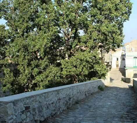 Caccuri 5 - Meraviglie di Calabria - 27