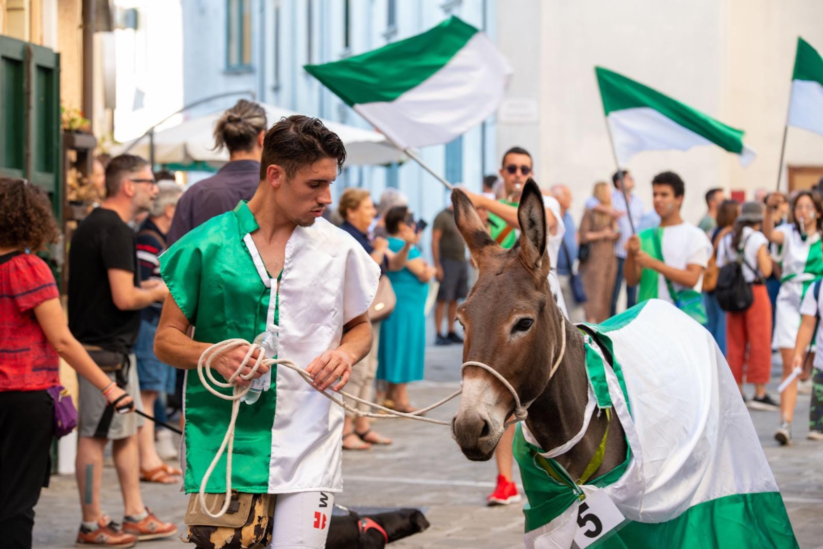 Laino Borgo Palio dei ciucci 2 - Meraviglie di Calabria - 21