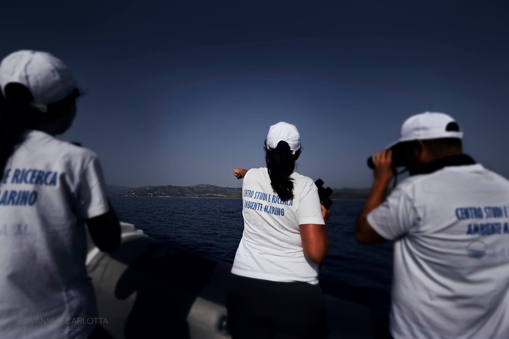 Mare Centro Studi e Ricerca Ambiente Marino foto Giovanni Carlotta - Meraviglie di Calabria - 11