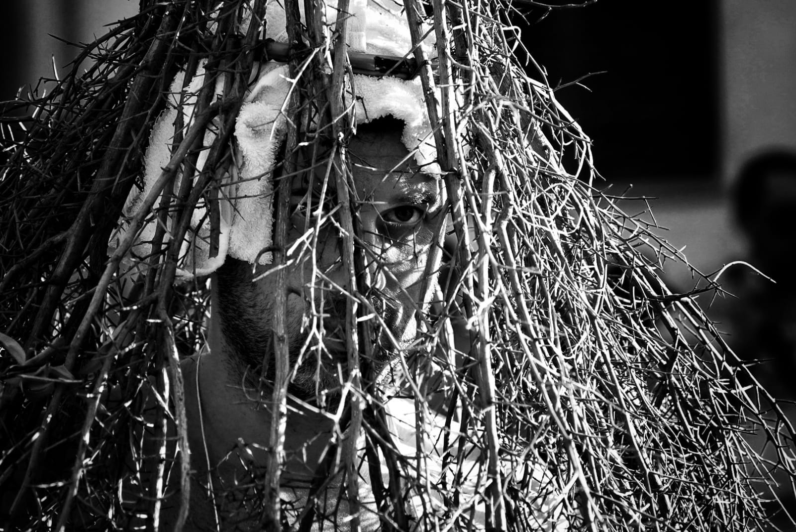Palmi San Rocco Spinati Ph. Giuseppe Maione 3 - Meraviglie di Calabria - 35