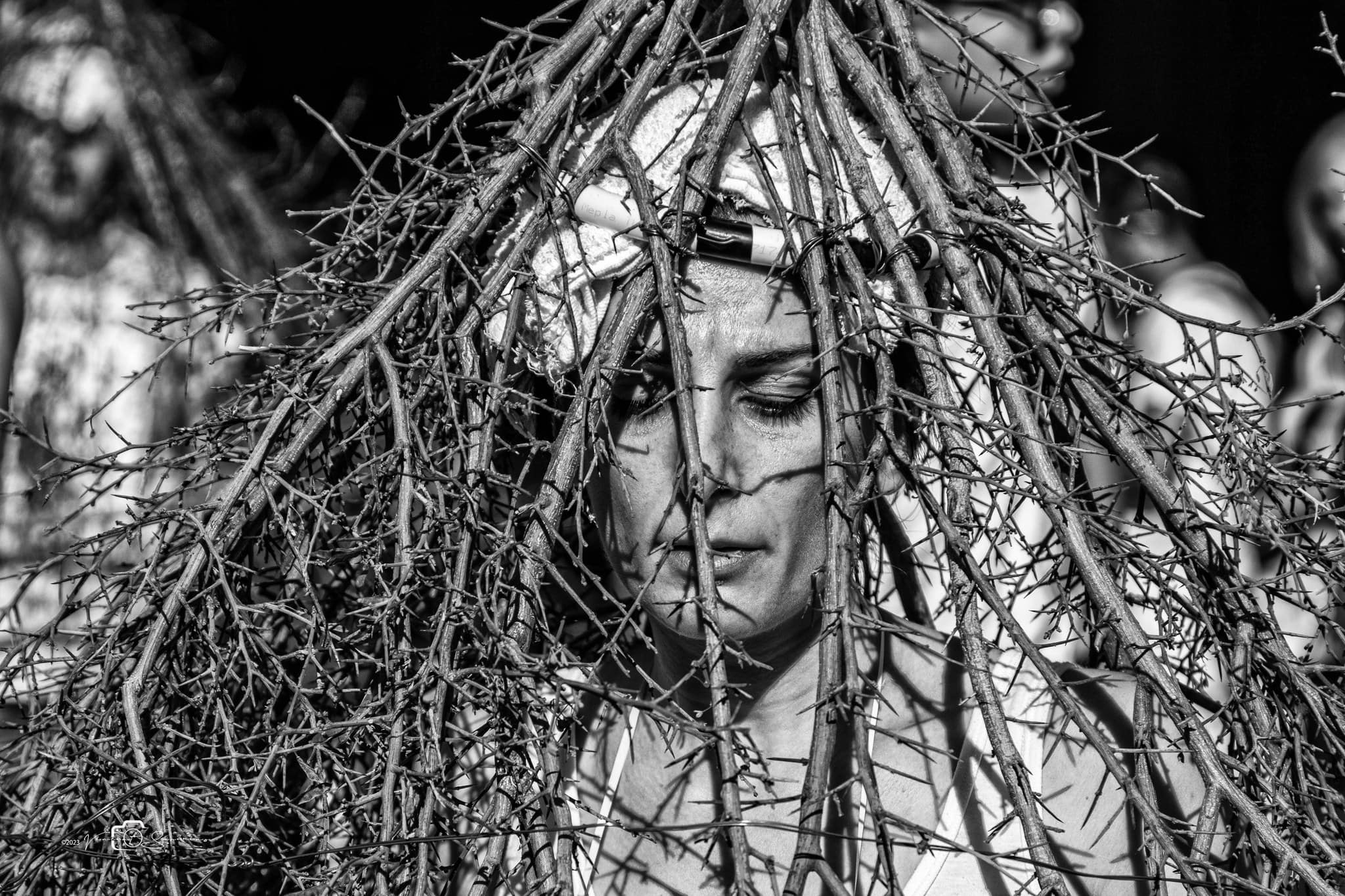 Palmi San Rocco Spinati Ph. Vincent Saverino 20 - Meraviglie di Calabria - 39