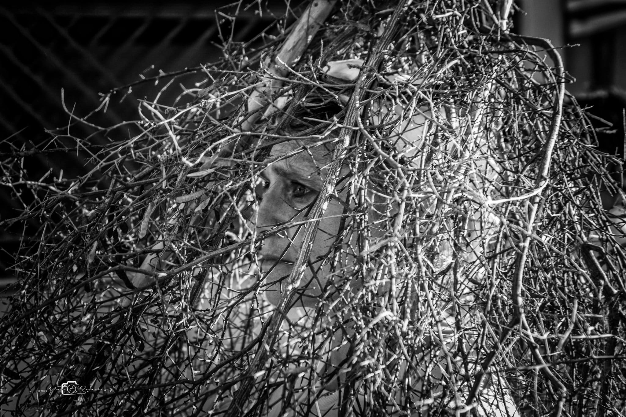 Palmi San Rocco Spinati Ph. Vincent Saverino 30 - Meraviglie di Calabria - 43
