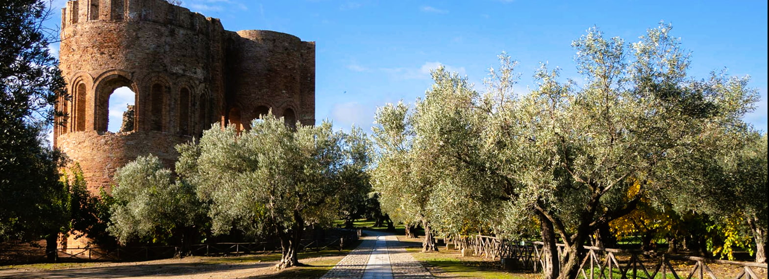 Parco scolacium 1 - Meraviglie di Calabria - 89