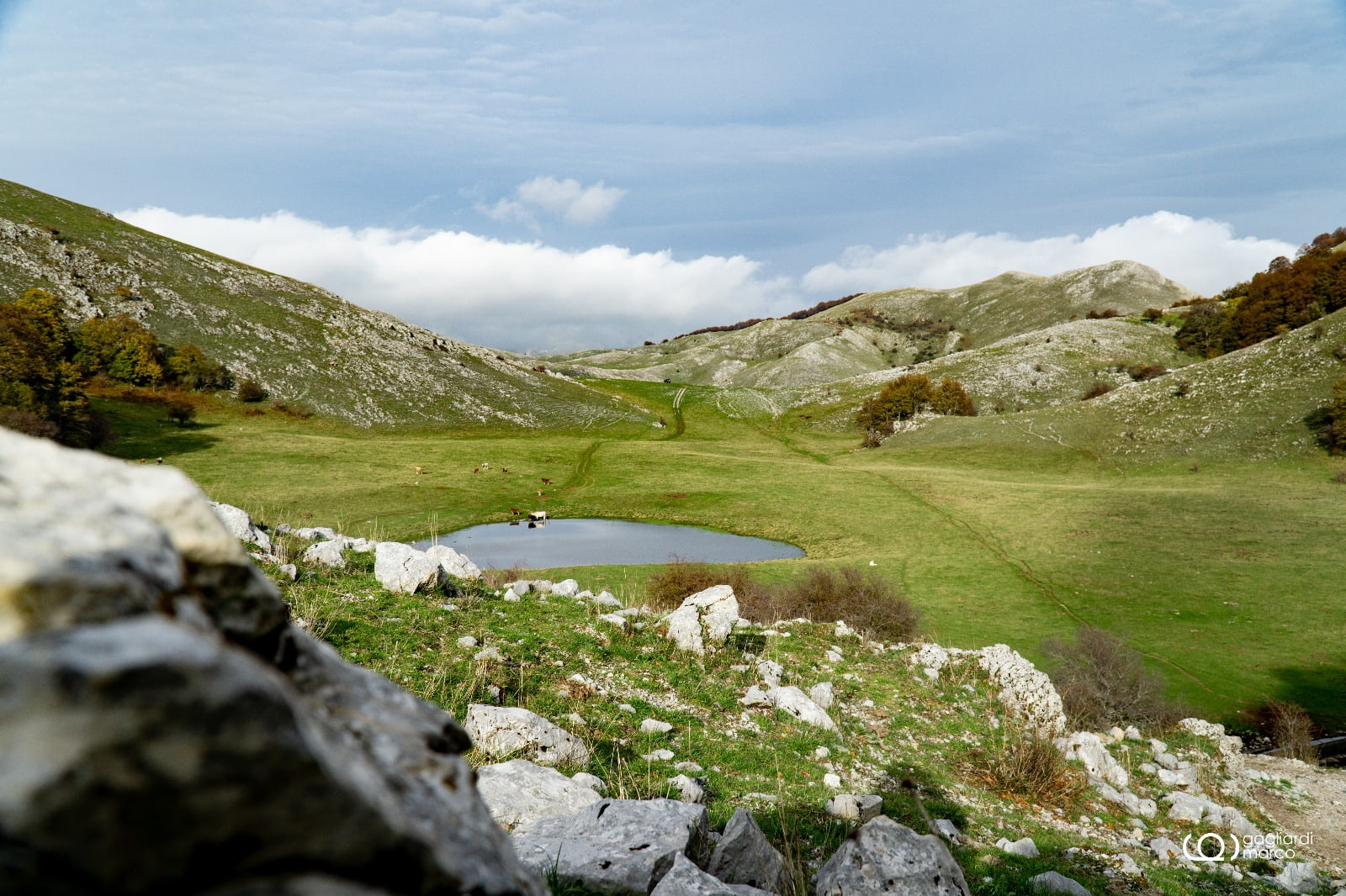 Pollino SARACENA MONTAGNA 4 - Meraviglie di Calabria - 13