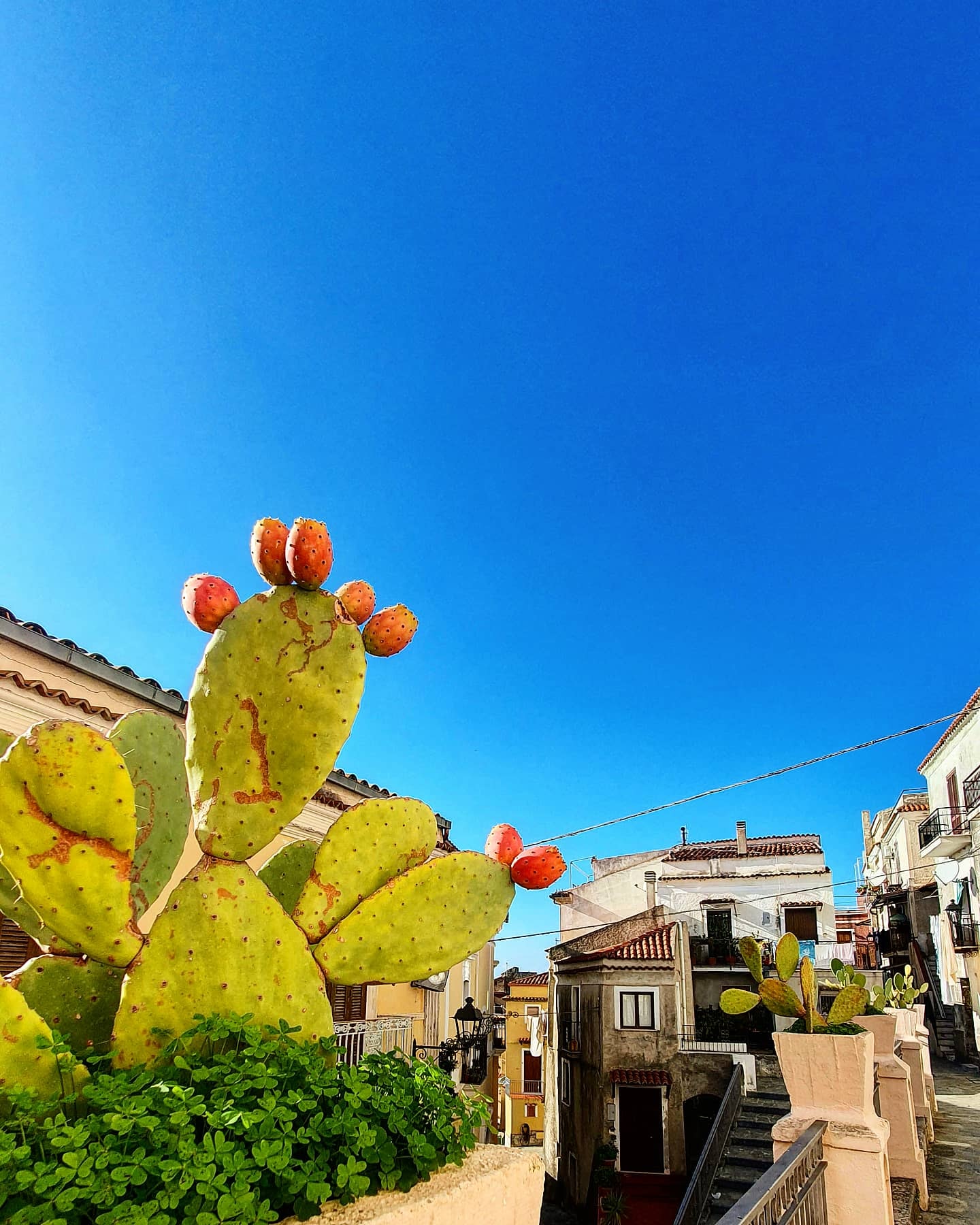 San Nicola Arcella 9 - Il Borgo dei Borghi, sarà San Nicola Arcella a rappresentare la Calabria - 3 San Nicola Arcella 9 - Meraviglie di Calabria - 2
