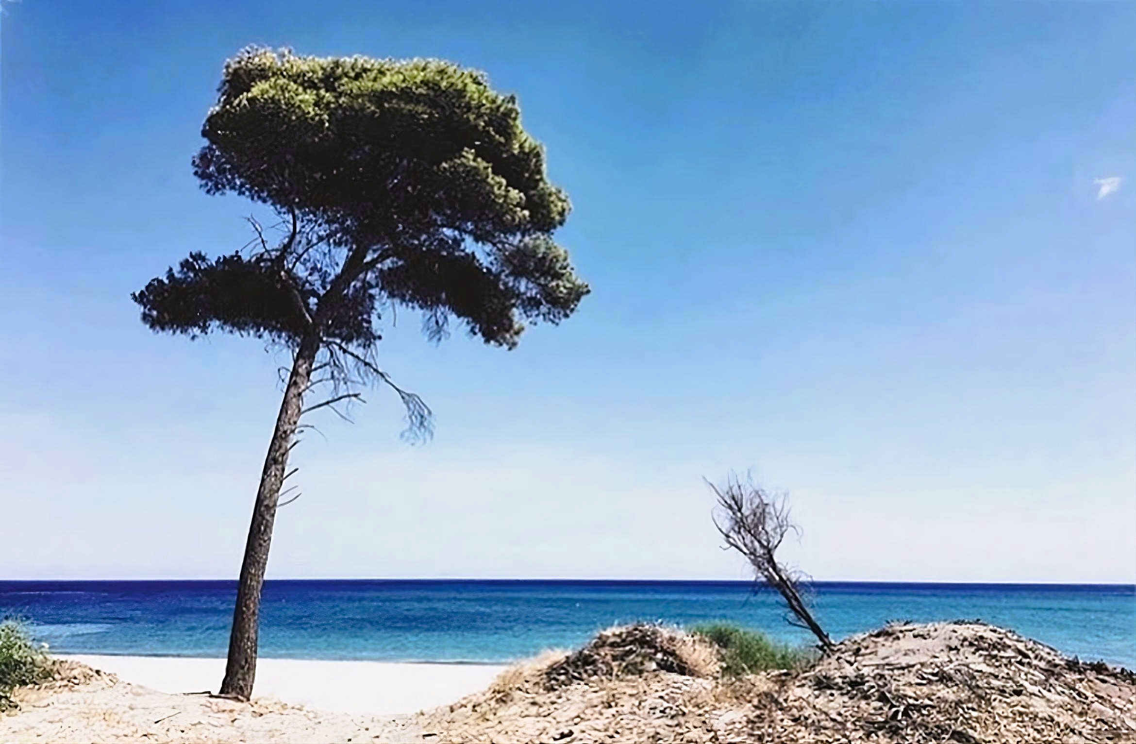 Simeri crichi spiaggia 6 - Meraviglie di Calabria - 1