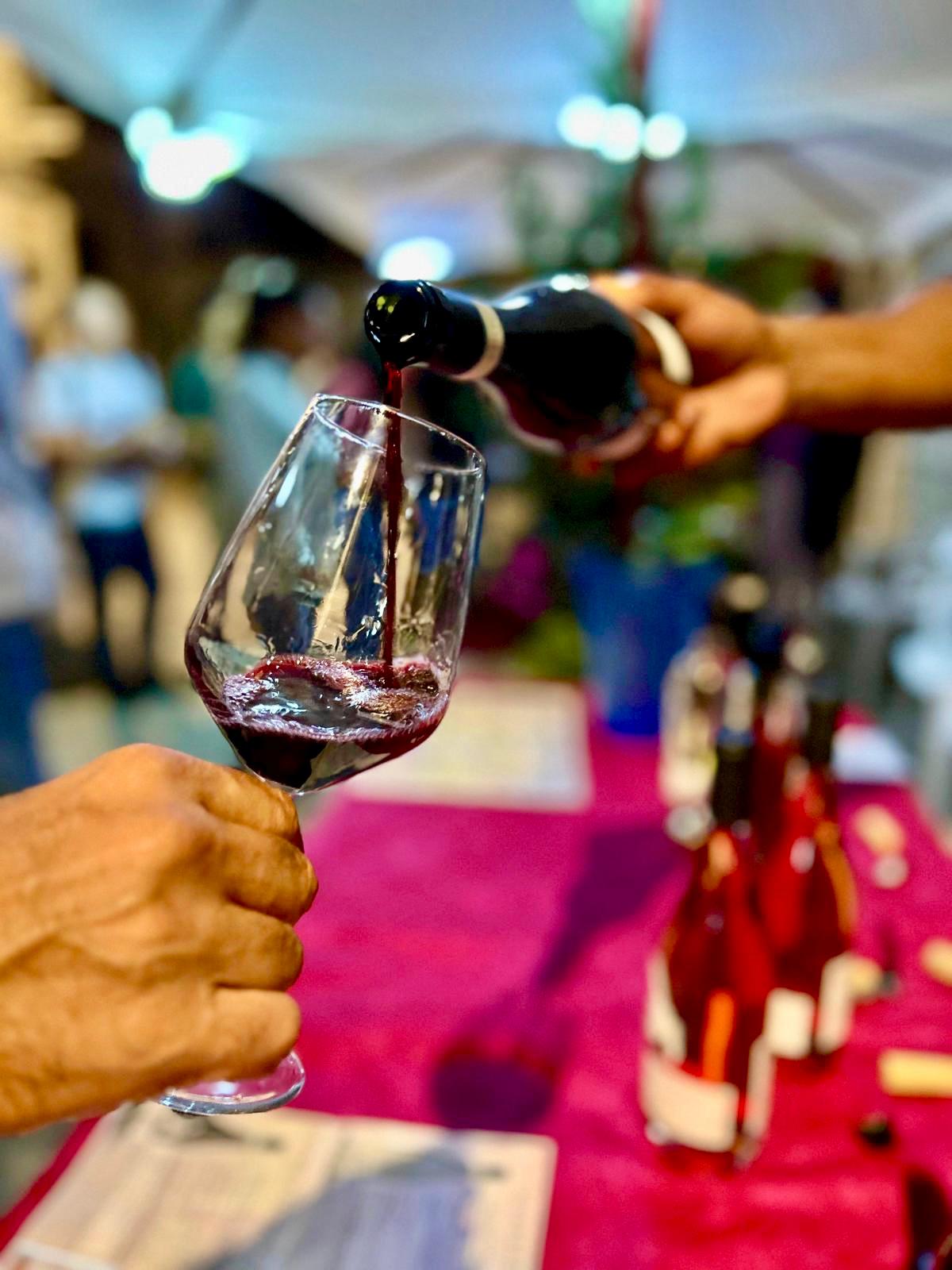 Vino calice 2 - Meraviglie di Calabria - 15