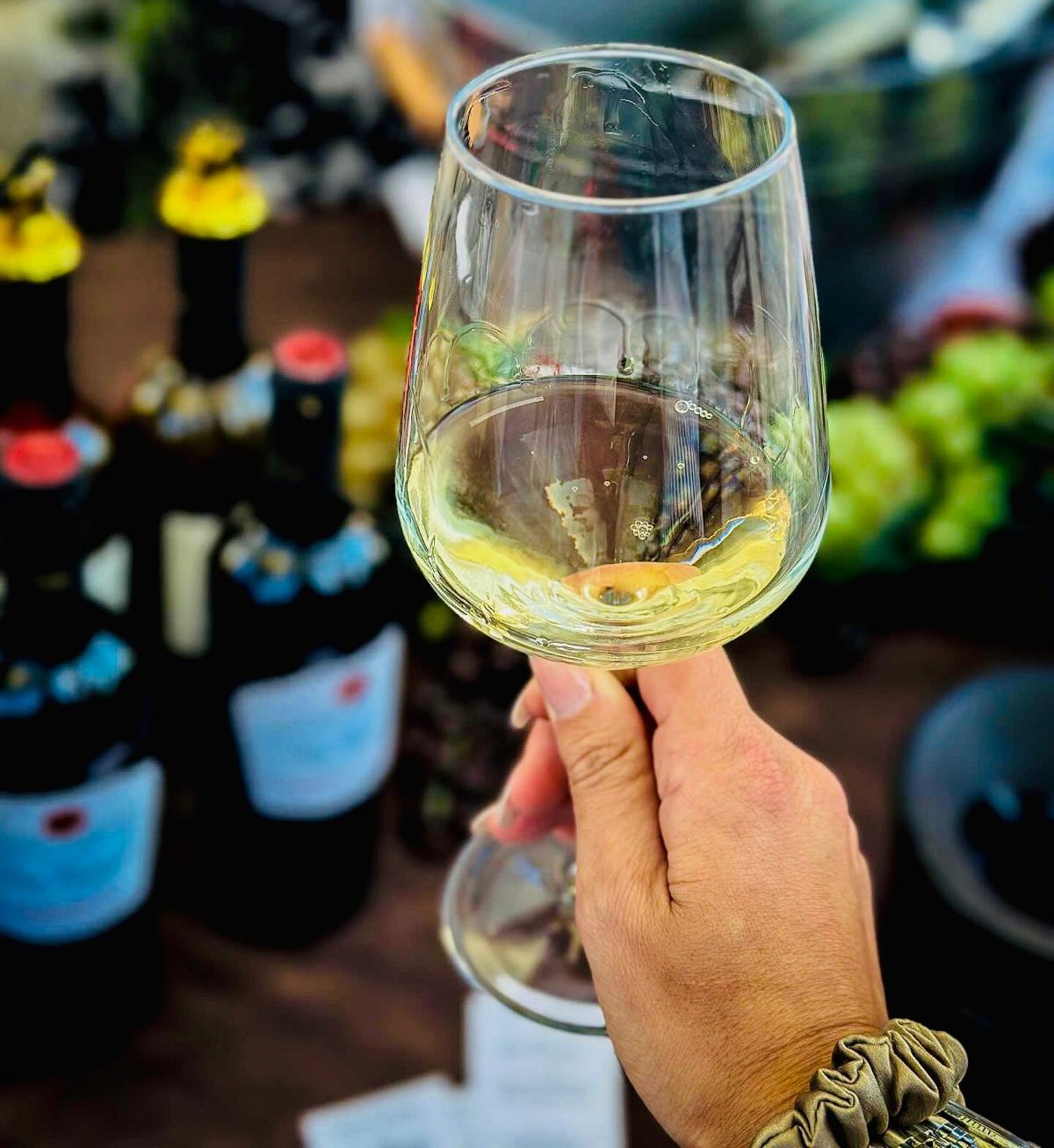 Vino calice - Meraviglie di Calabria - 11