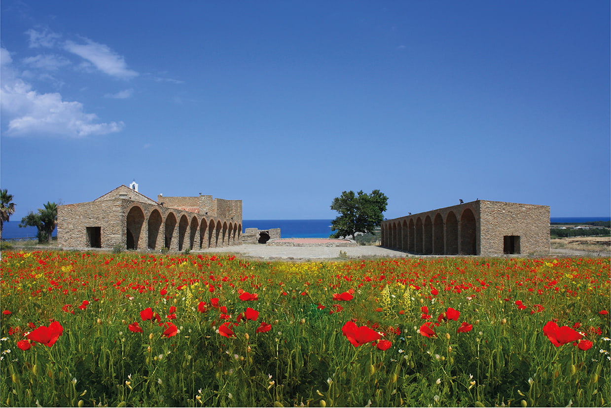 ciro marina Mercati Saraceni - Meraviglie di Calabria - 27