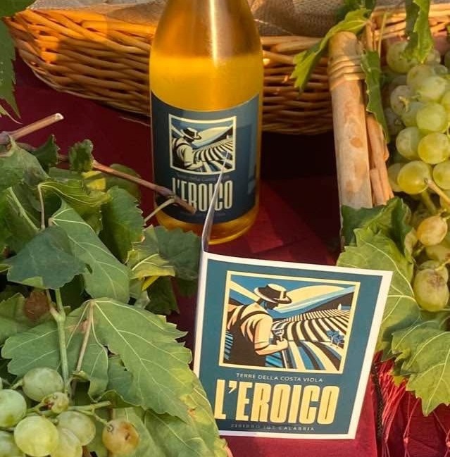 uva zibibbo vino leroico bagnara a - Viticoltura eroica, il prezioso Zibibbo della Costa Viola - 15 uva zibibbo vino leroico bagnara a - Meraviglie di Calabria - 14