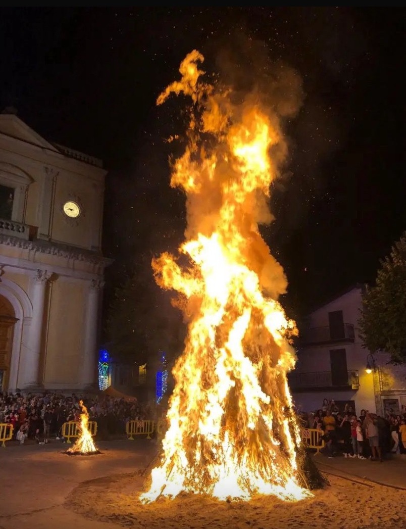Cittanova Festa san Rocco 1 a - Nasce a Cittanova il Festival delle Tradizioni di Piazza San Rocco - 9 Cittanova Festa san Rocco 1 a - Meraviglie di Calabria - 8