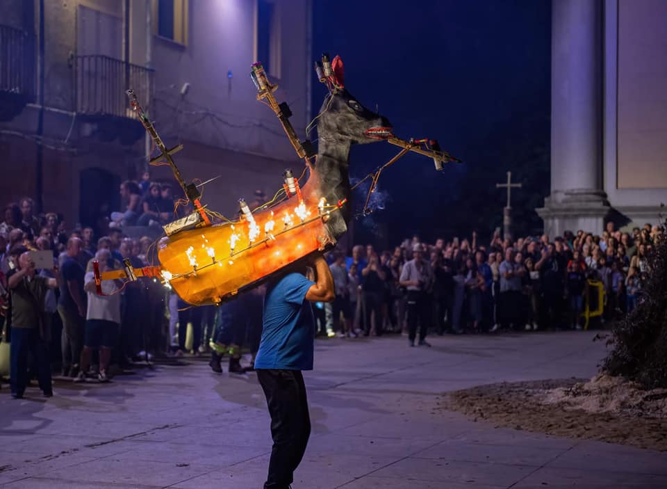 Cittanova cavalluccio 3 - Nasce a Cittanova il Festival delle Tradizioni di Piazza San Rocco - 5 Cittanova cavalluccio 3 - Meraviglie di Calabria - 4