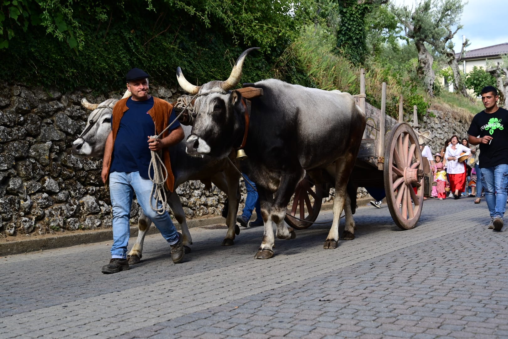 Dipignano sagra della polenta - Sagra della Polenta, a Dipignano si festeggia la 60ª edizione - 9 Dipignano sagra della polenta - Meraviglie di Calabria - 8