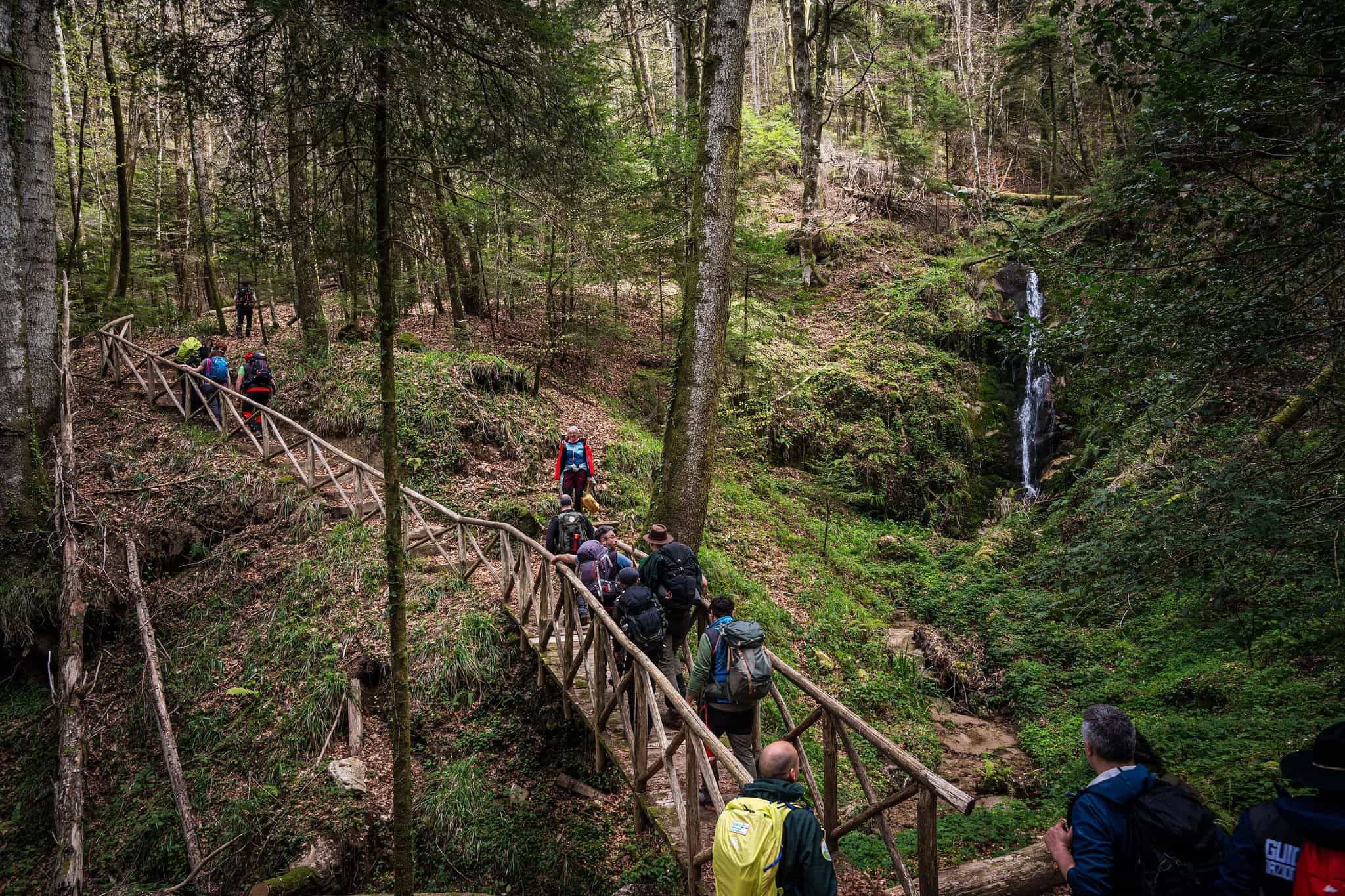 Escursioni Parco delle Serre 3 - Meraviglie di Calabria - 6