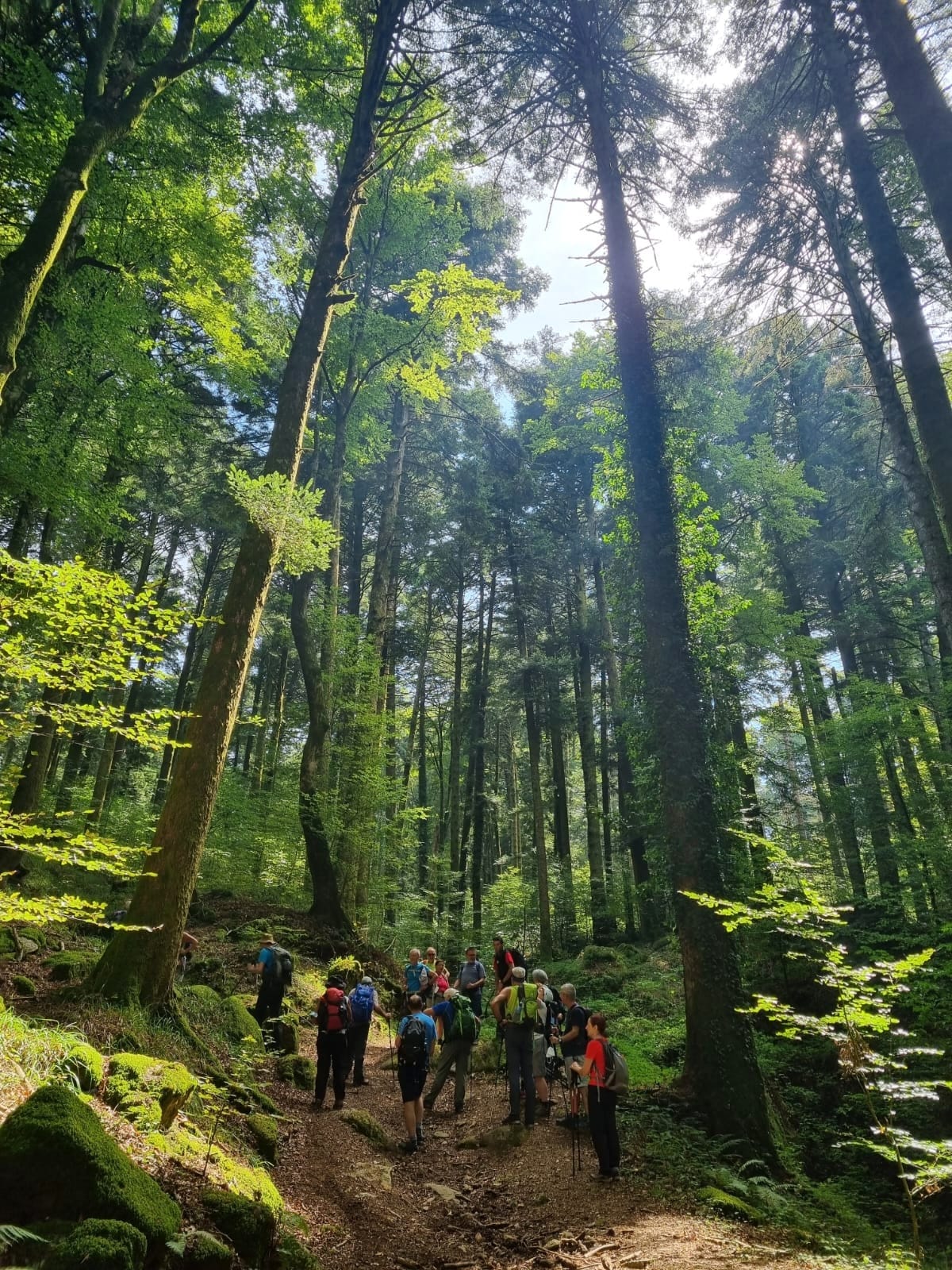 Escursioni Parco delle Serre 5 - Meraviglie di Calabria - 8