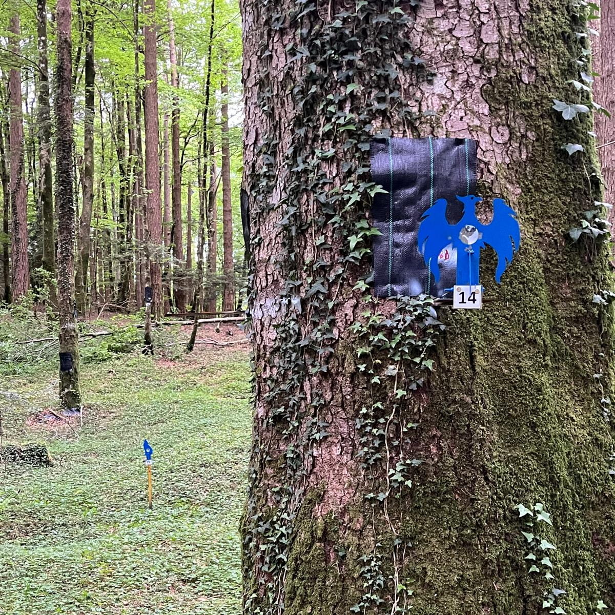 Fagnano Castello campionati italiani di field target 2 - Fagnano Castello, nel weekend i campionati italiani di field target - 5 Fagnano Castello campionati italiani di field target 2 - Meraviglie di Calabria - 4