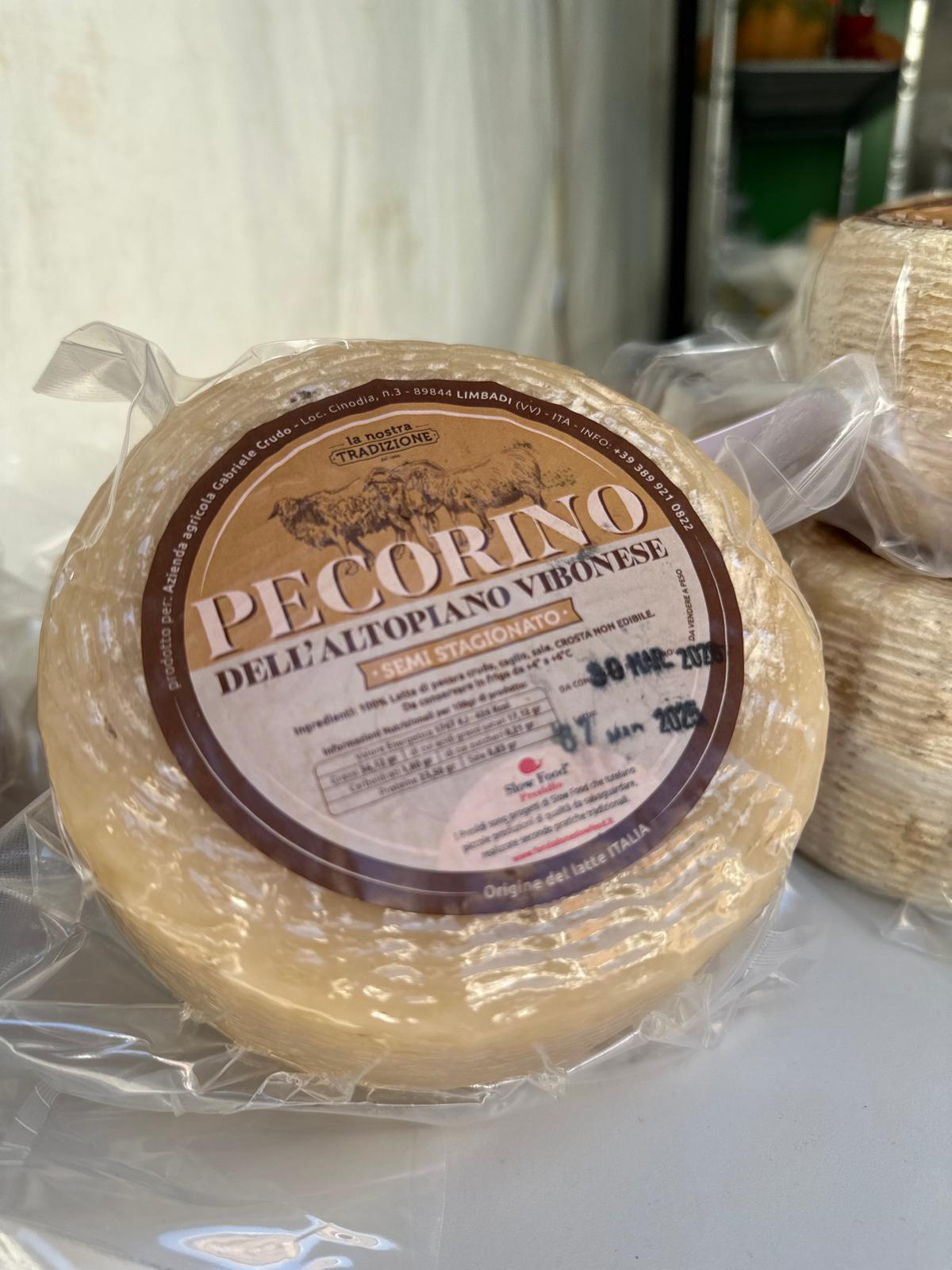 Formaggio pecorino altopiano vibonese presidio - Meraviglie di Calabria - 4